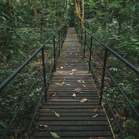 考索树屋度假村 Khao Sok National Park 外观 照片