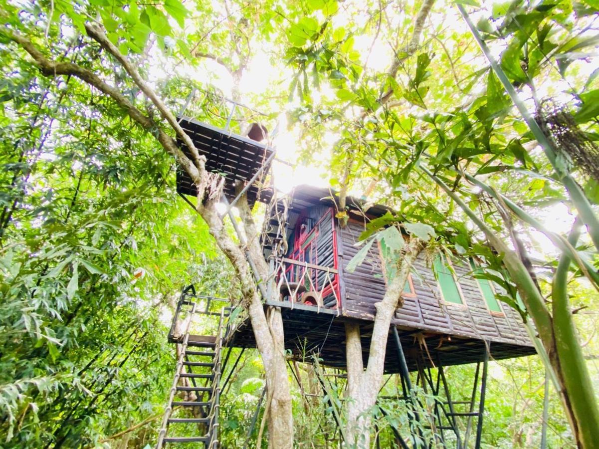 考索树屋度假村 Khao Sok National Park 外观 照片