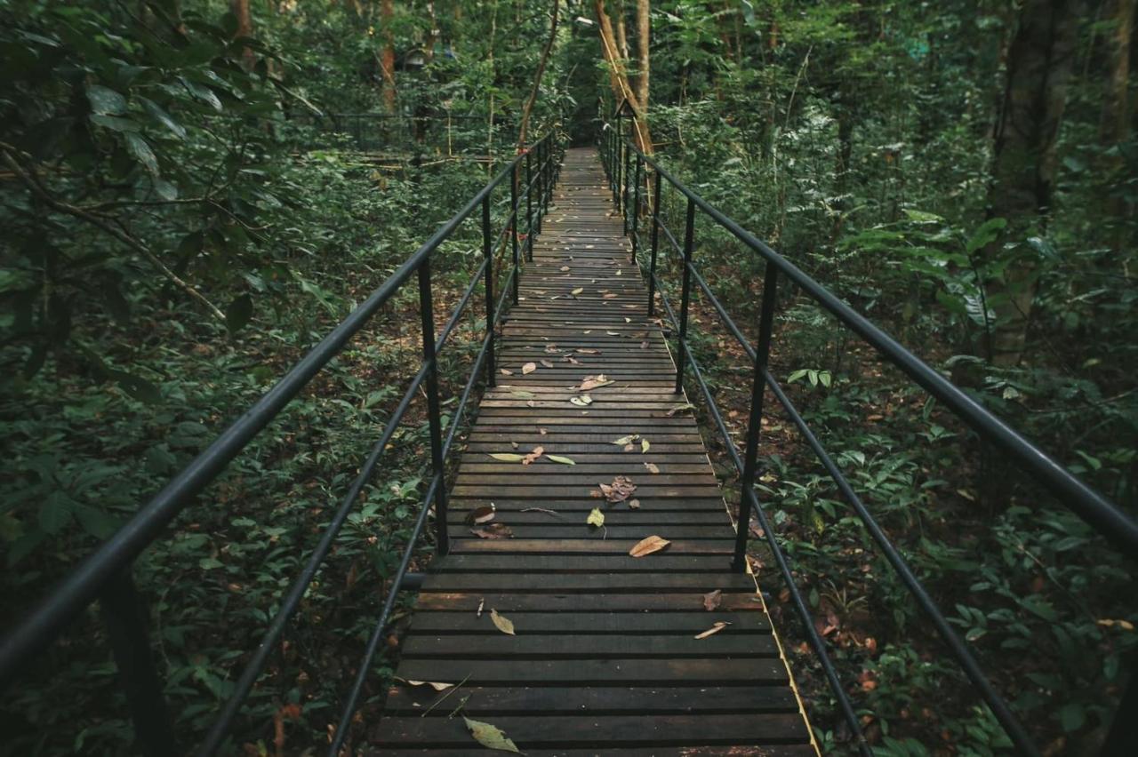 考索树屋度假村 Khao Sok National Park 外观 照片