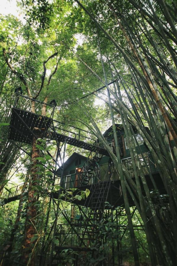 考索树屋度假村 Khao Sok National Park 外观 照片