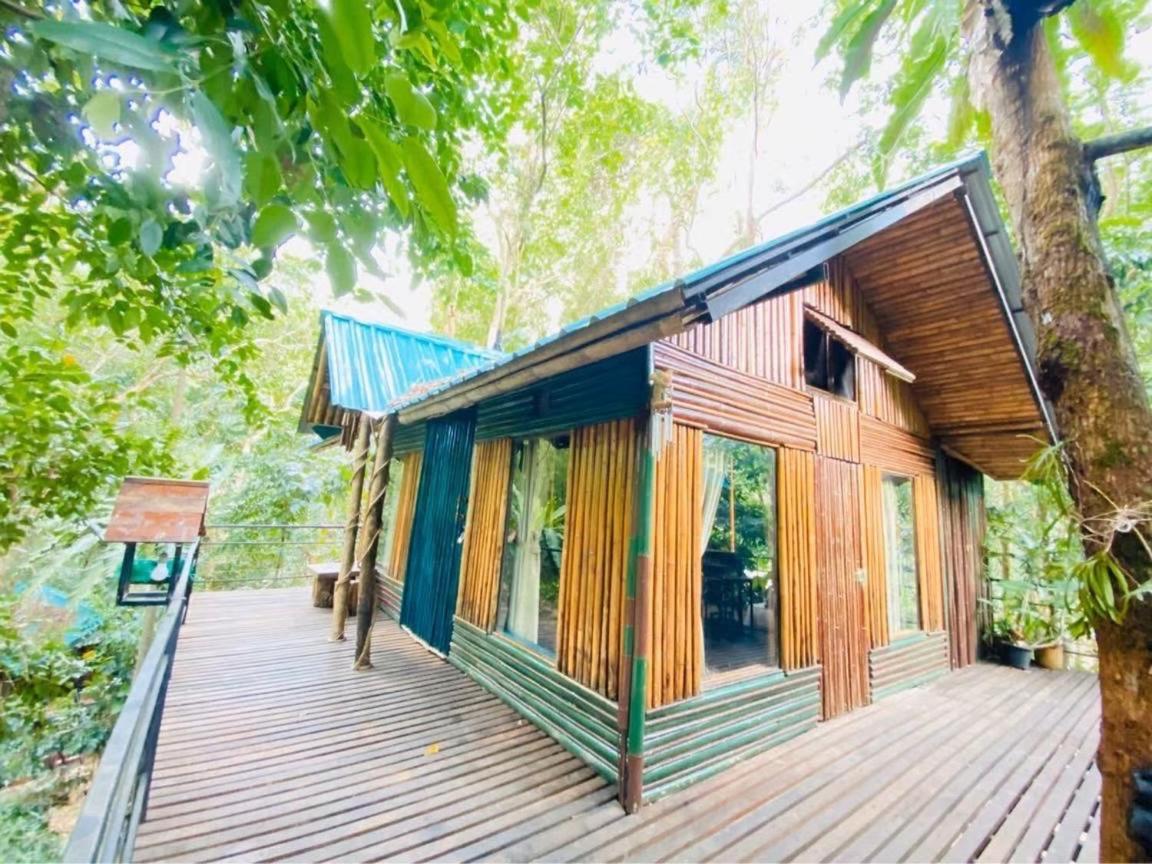 考索树屋度假村 Khao Sok National Park 外观 照片