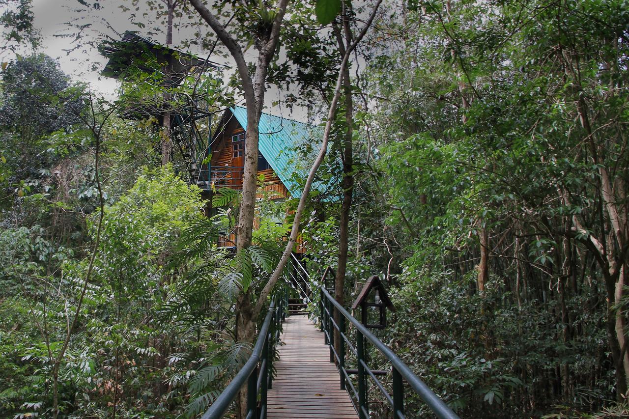 考索树屋度假村 Khao Sok National Park 外观 照片