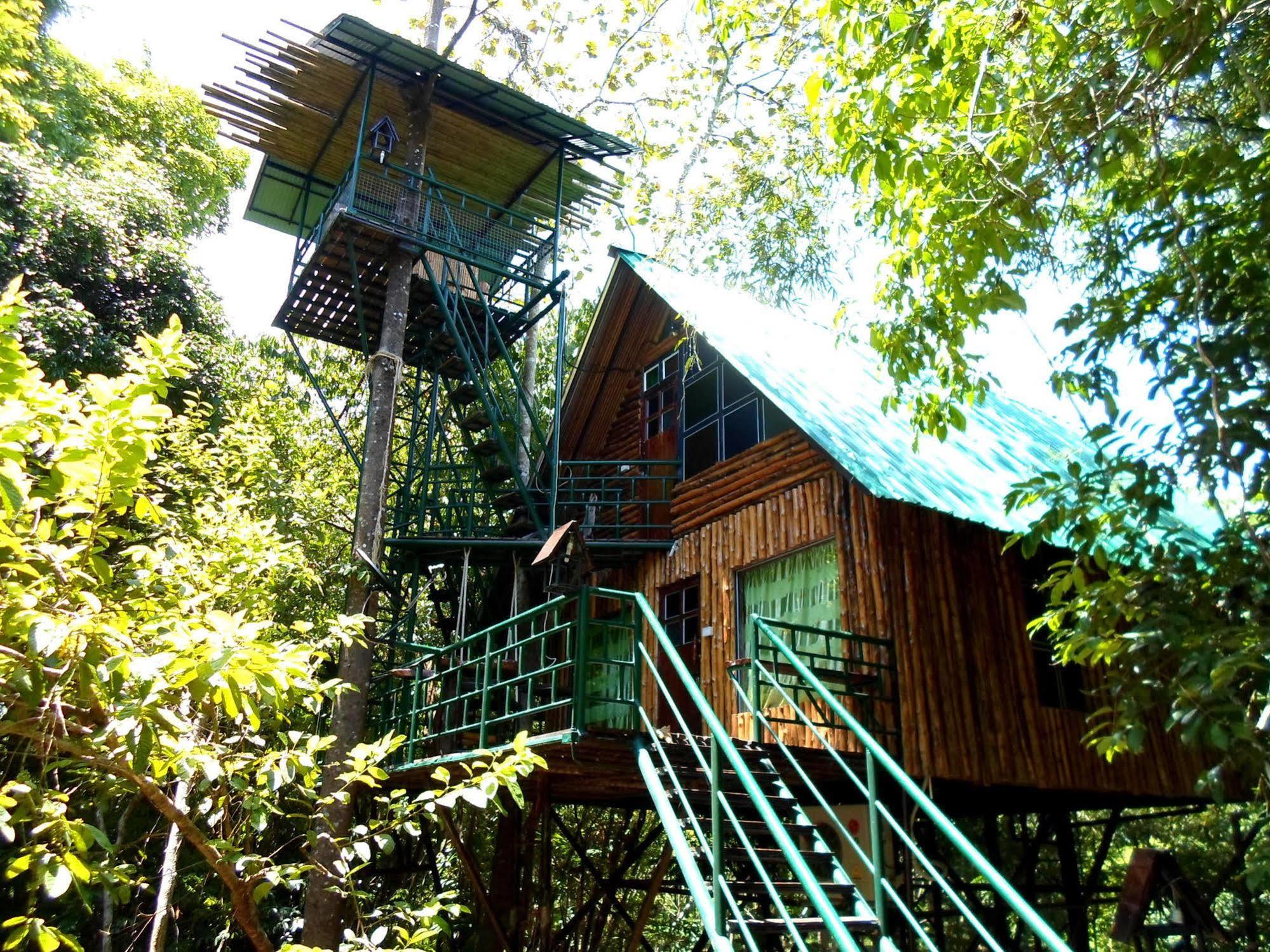 考索树屋度假村 Khao Sok National Park 外观 照片