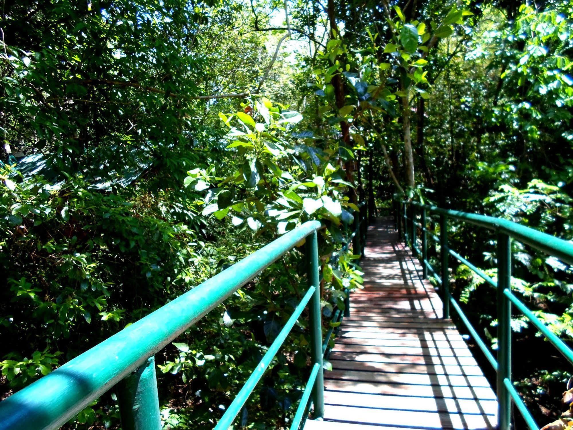 考索树屋度假村 Khao Sok National Park 外观 照片
