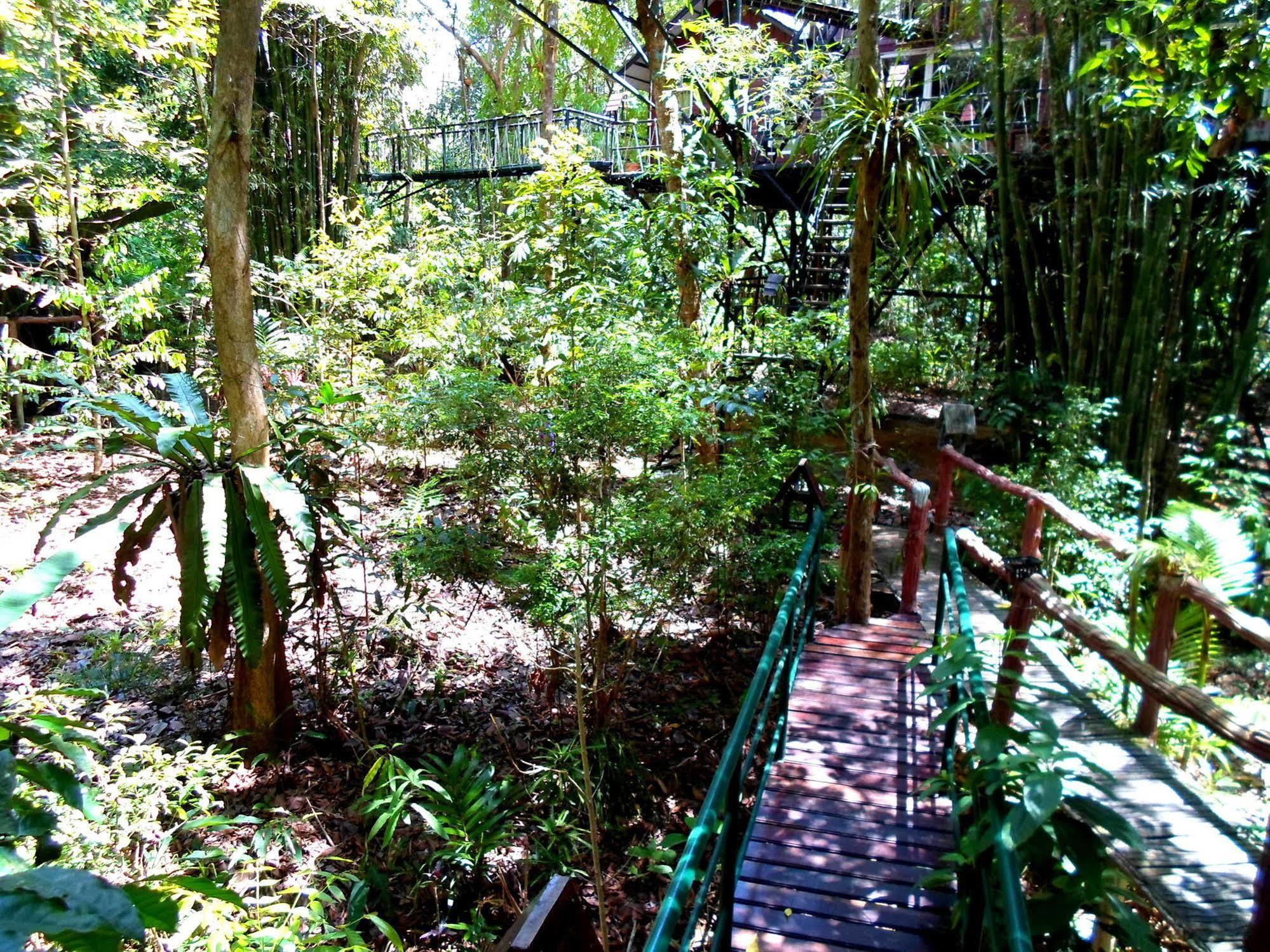 考索树屋度假村 Khao Sok National Park 外观 照片