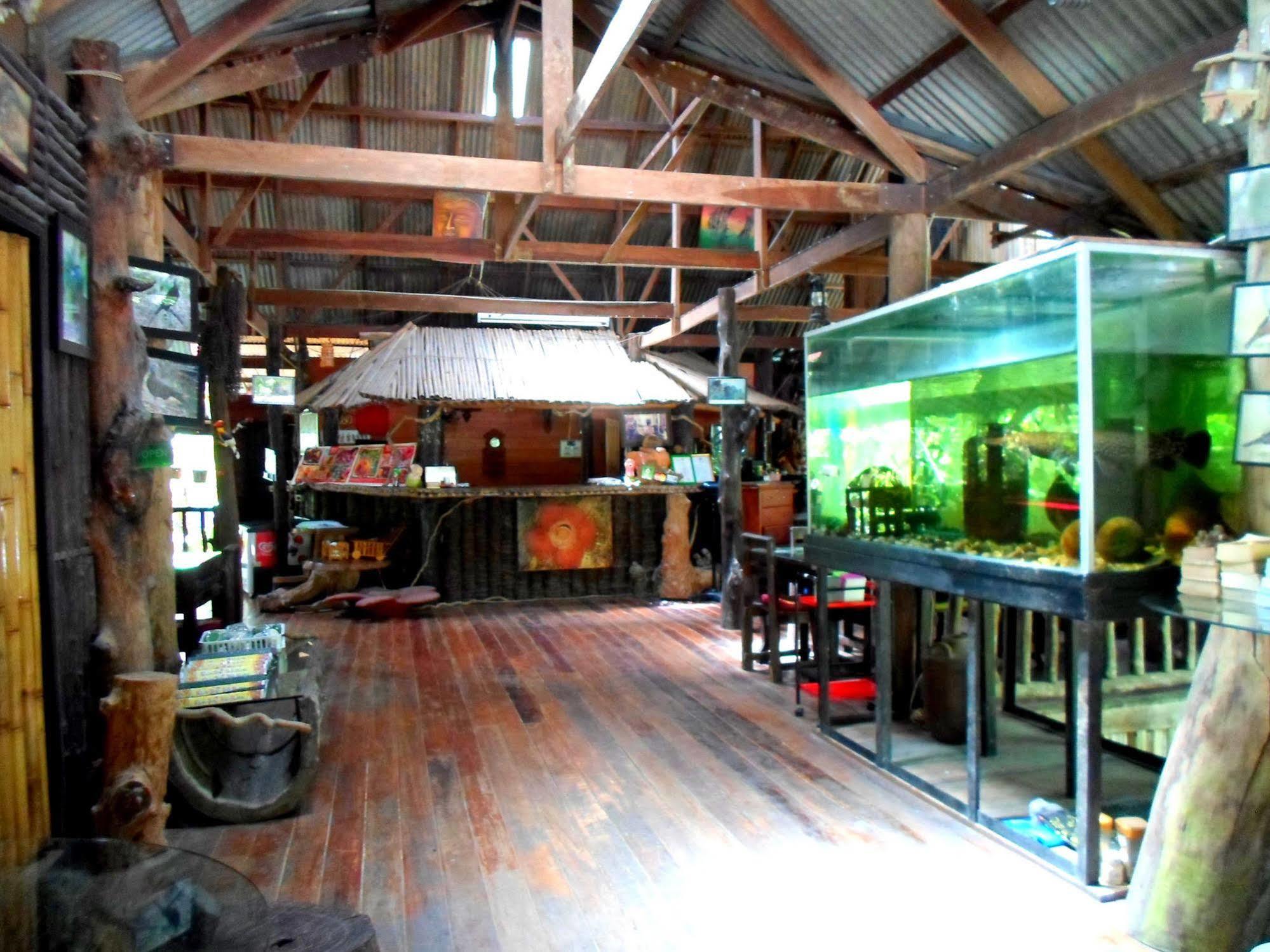 考索树屋度假村 Khao Sok National Park 外观 照片