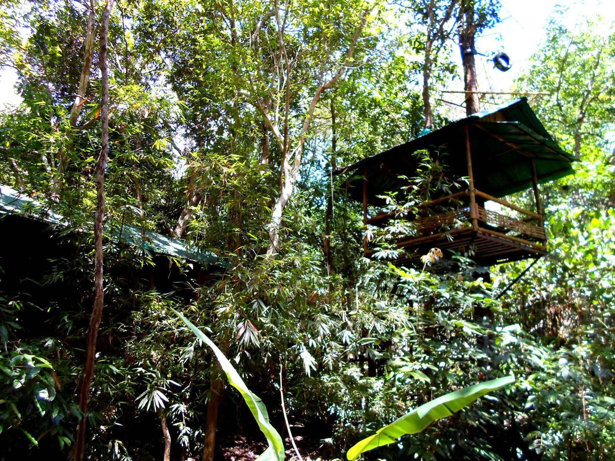 考索树屋度假村 Khao Sok National Park 外观 照片