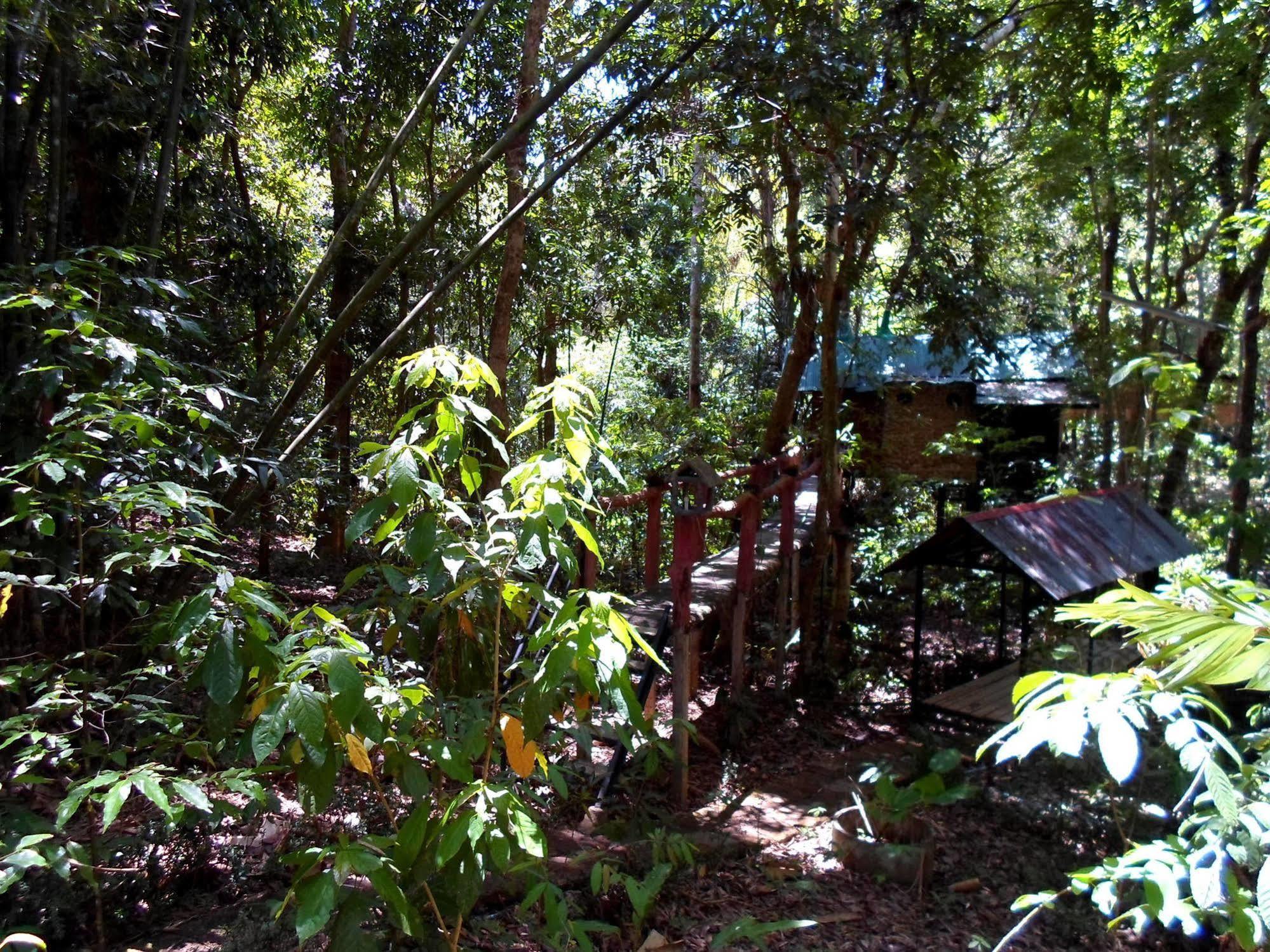 考索树屋度假村 Khao Sok National Park 外观 照片