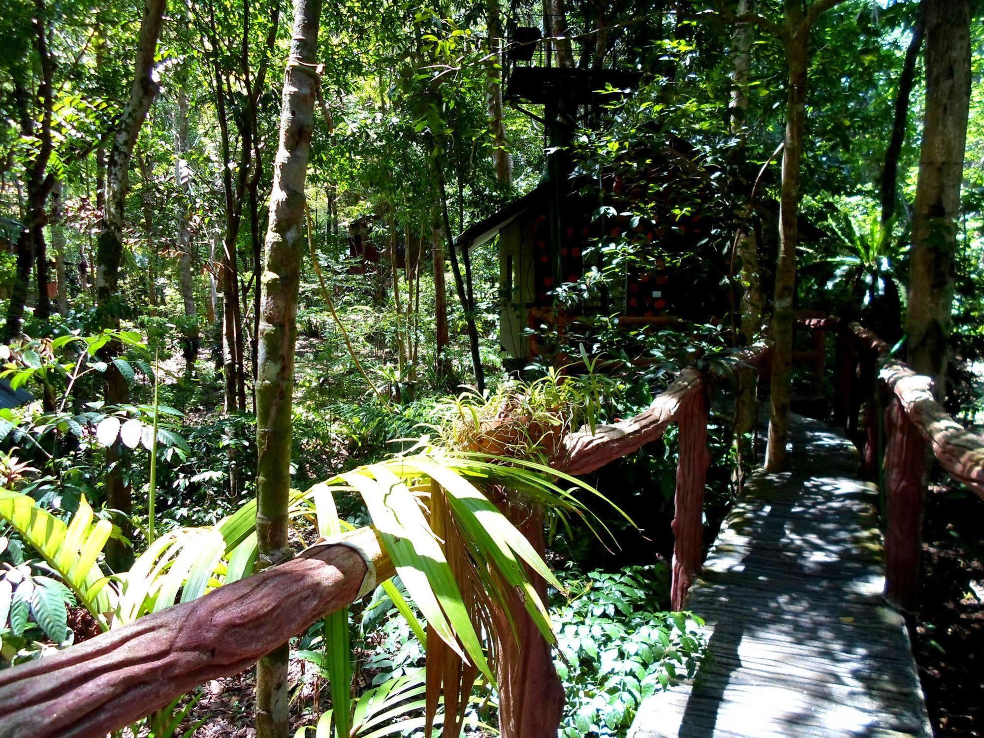 考索树屋度假村 Khao Sok National Park 外观 照片
