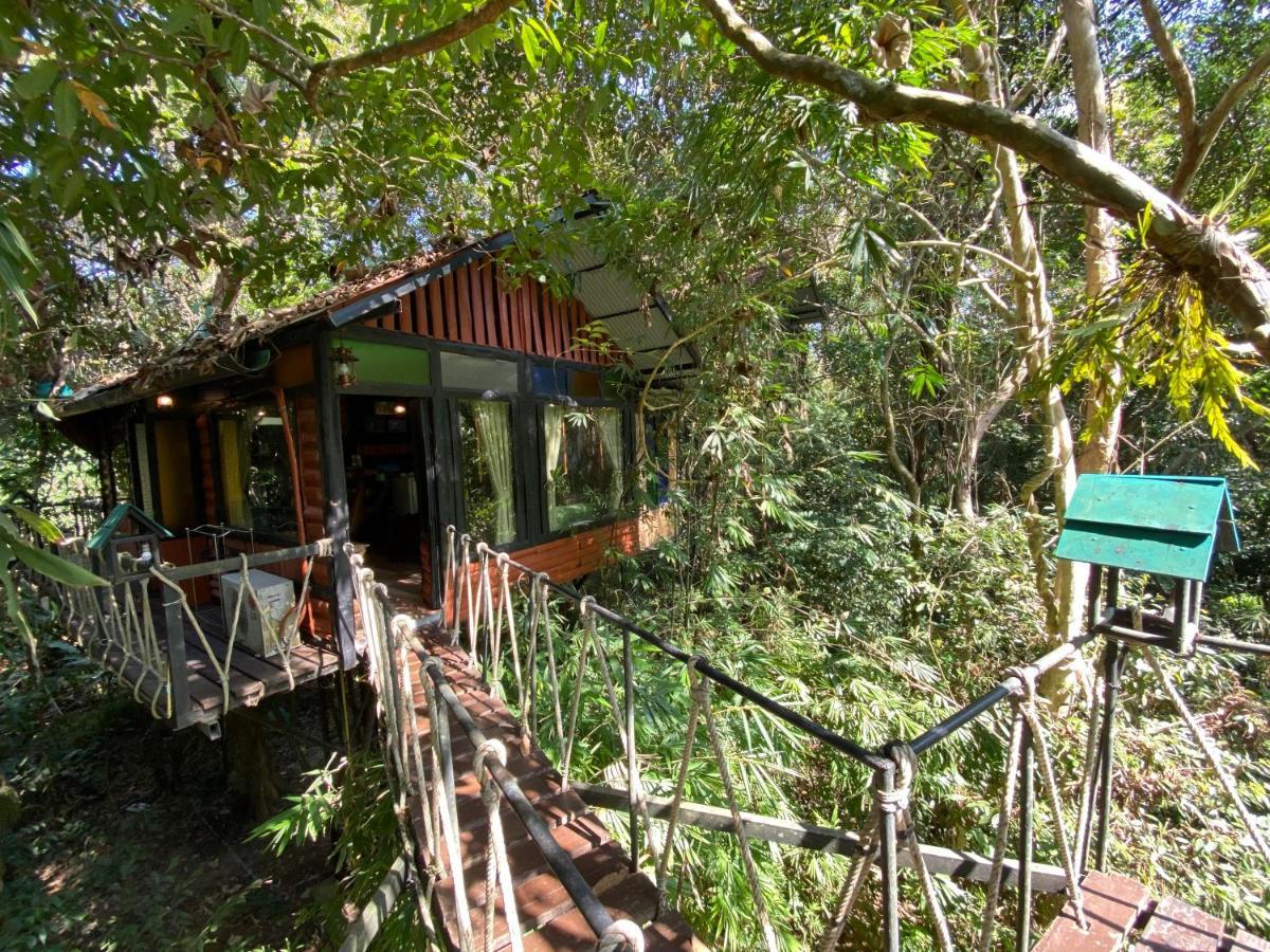 考索树屋度假村 Khao Sok National Park 外观 照片