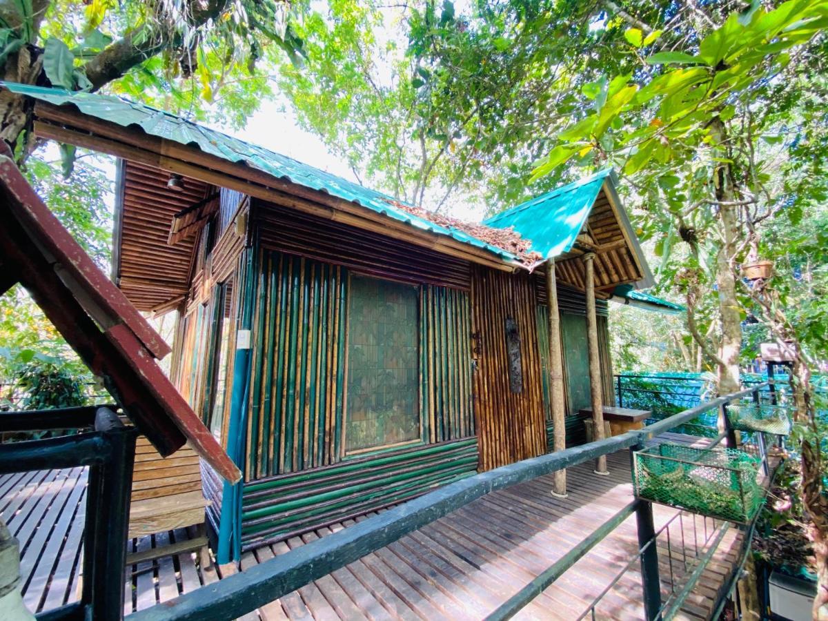 考索树屋度假村 Khao Sok National Park 外观 照片